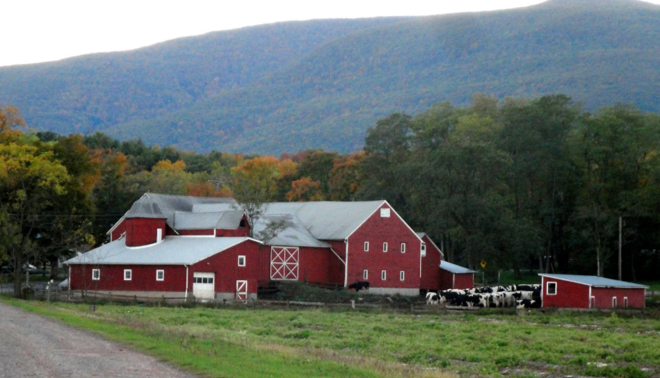 Story Farms
