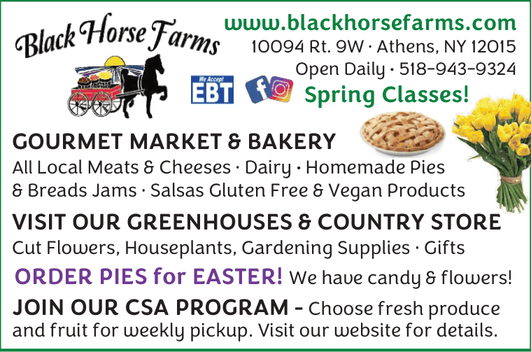 Black Horse Farms
