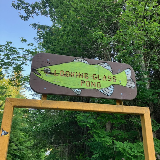 Looking Glass Pond