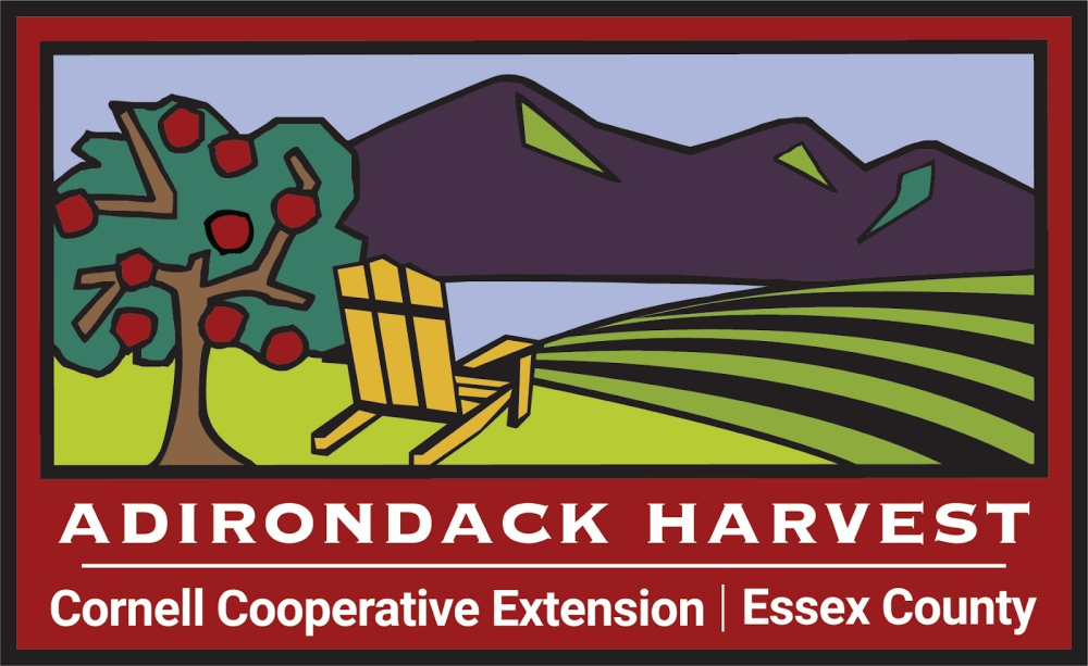 10th Annual Adironack Harvest Festival