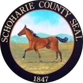 The Comprehensive Schoharie County Department of Health Dr Gildemeister Report