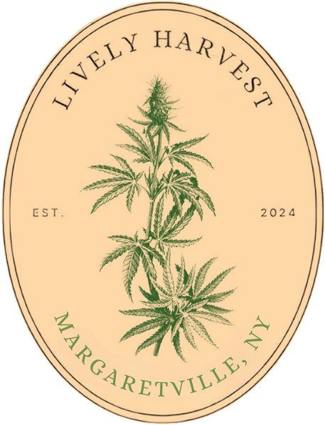 Lively Harvest Cannabis Shop Opens In Margaretville