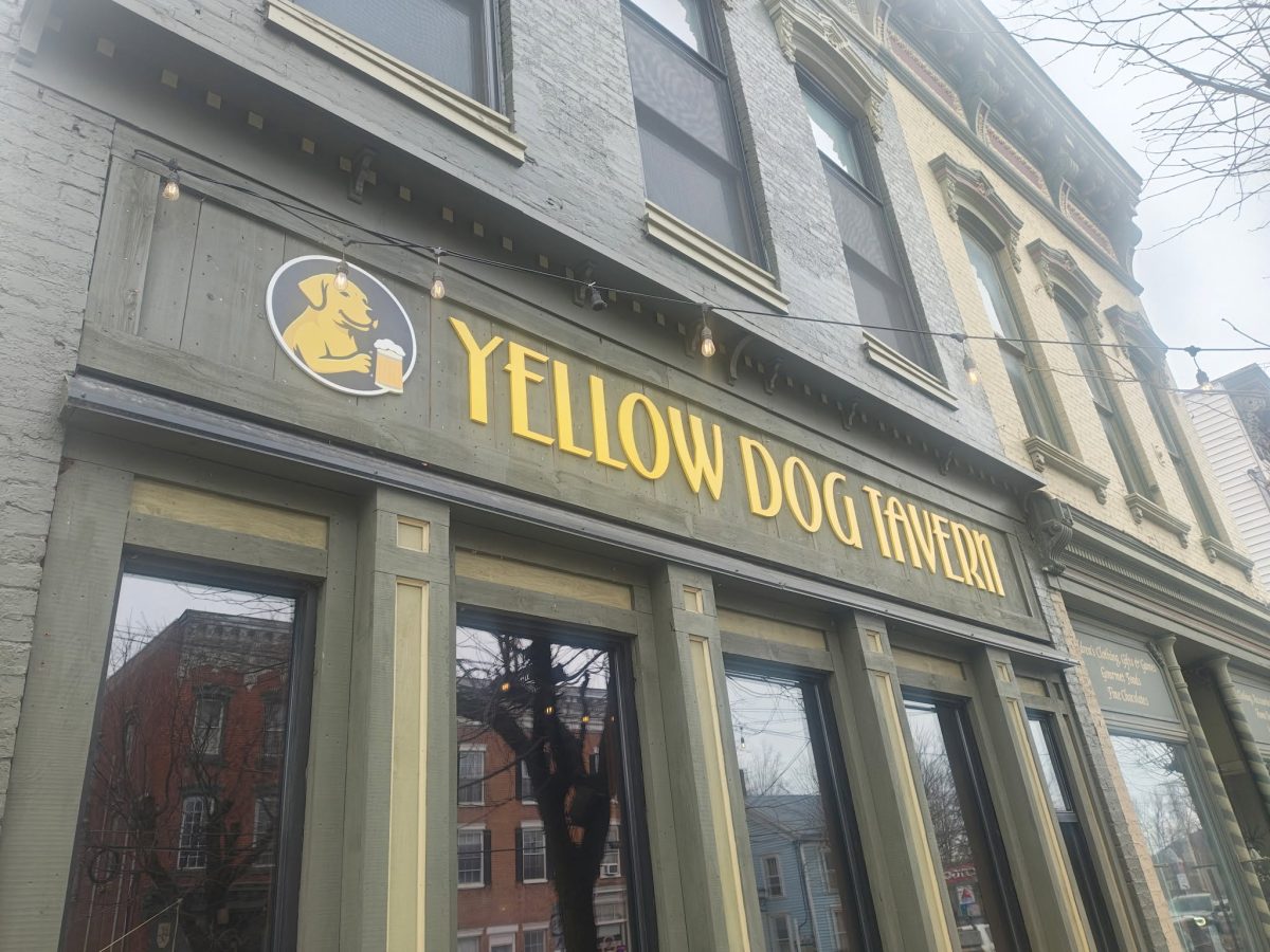 Yellow Dog Almost Ready to Open in Middleburgh