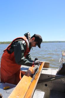 Outdoors with Larry DiDonato - DEC Reports Poor Striper Reproduction in the Hudson