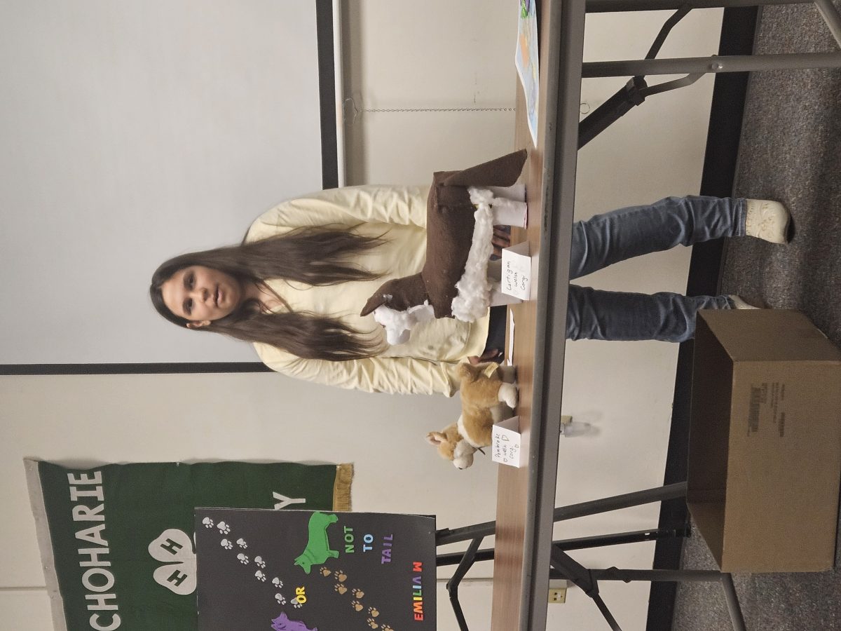 4-H Students Dazzle in Cobleskill