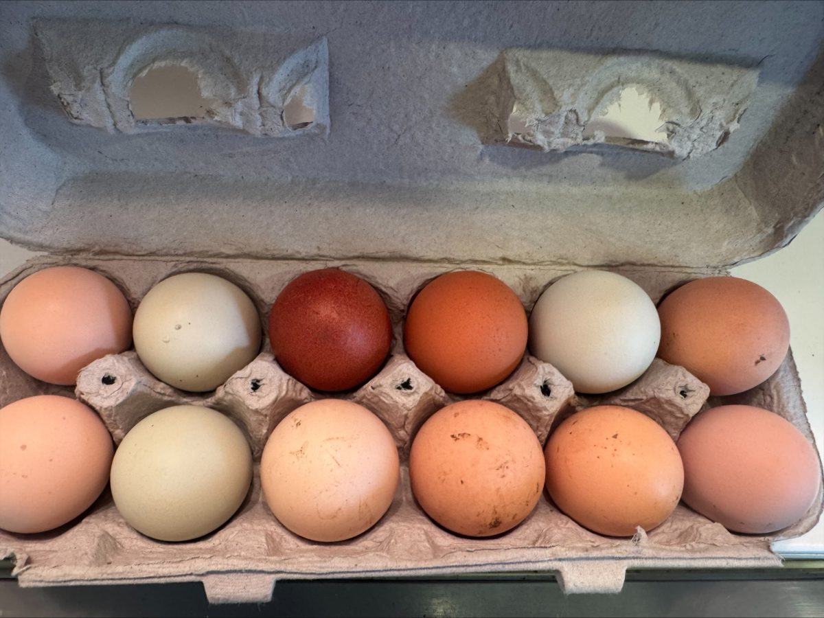Central Bridge Farmer’s Market Expanding Vendors & Products for Second Season