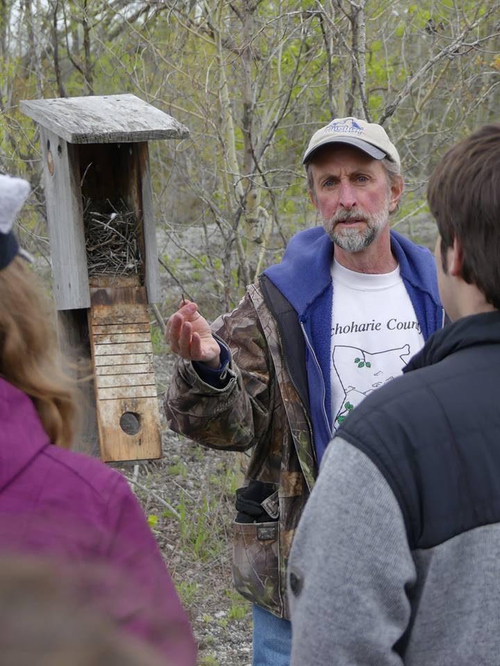 Expert Reveals Secrets to Attracting Bluebirds to Your Backyard