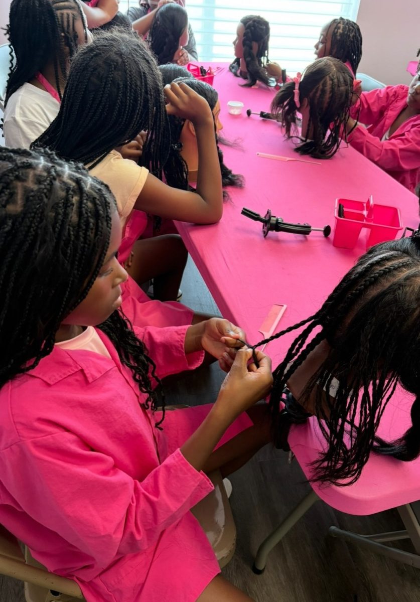 Learn 2 Braid Classes Coming to Schoharie County Libraries