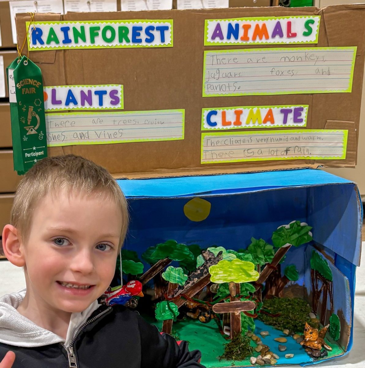 Science Fair at MCS