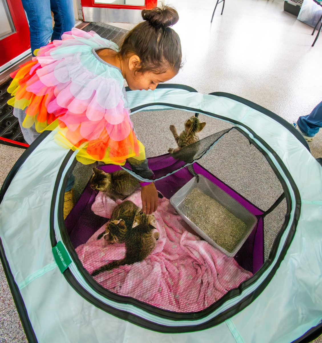 Iroquois Museum’s Little Boy Celebrates 15th Birthday