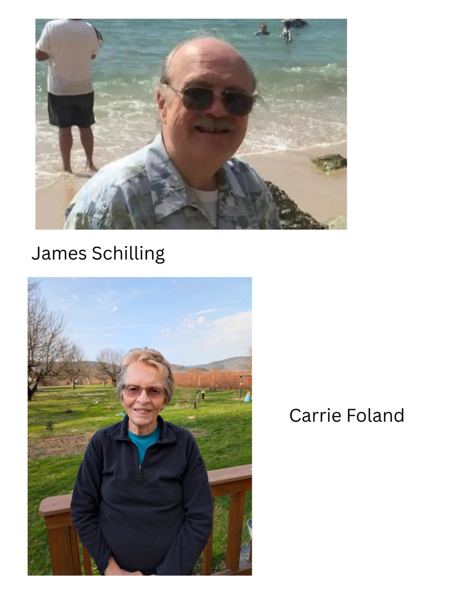 Middleburgh Library Trustee Candidates Share Stances Before May 12th Vote