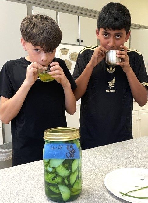 Pickle Time in Margaretville