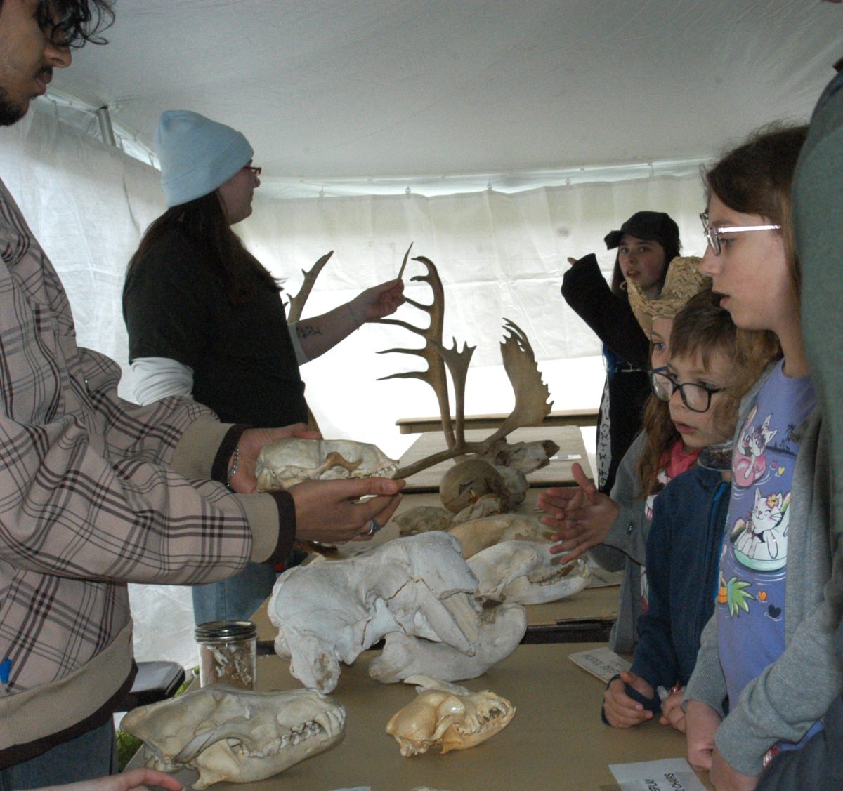 Wildlife Fest a Smash in Cobleskill