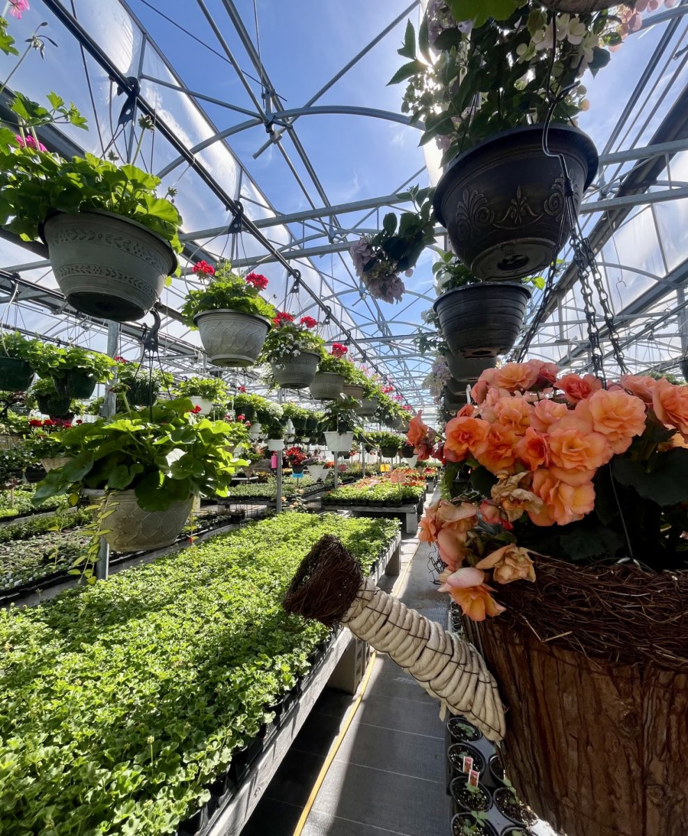 Meet the Vendors at Sunnycrest Markets