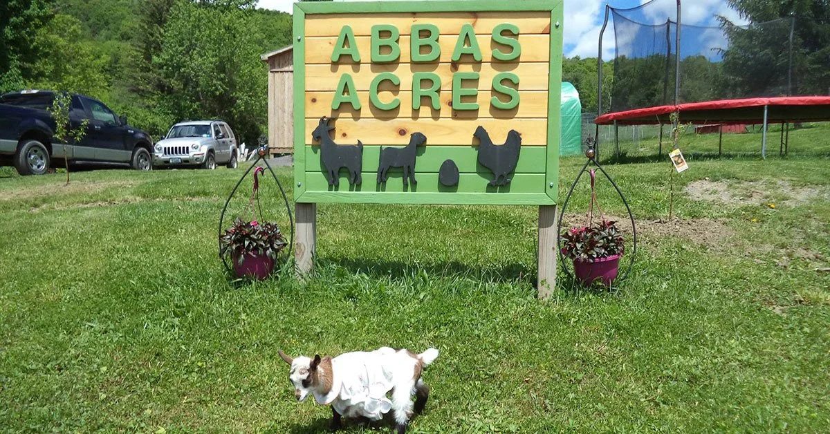 Farmers, Backbone of America - Abba's Acres