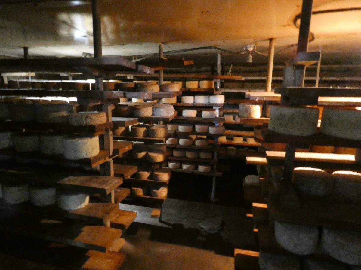 The Way of Curds and Whey When a Catskill Family Farms