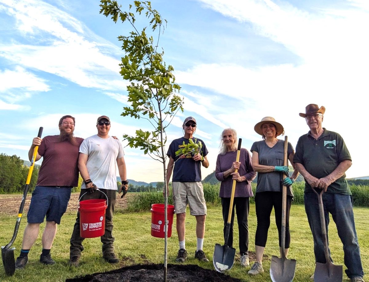 Trees Planted at Middleburgh's Tim Murphy Park
