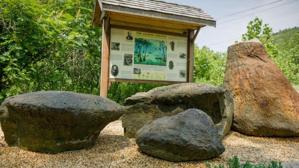 Gilboa Museum Organizing Visit to State Museum June 23