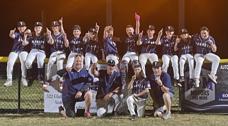 Little League Champ is Crowned - MTC Yankees Capture Second Consecutive Title