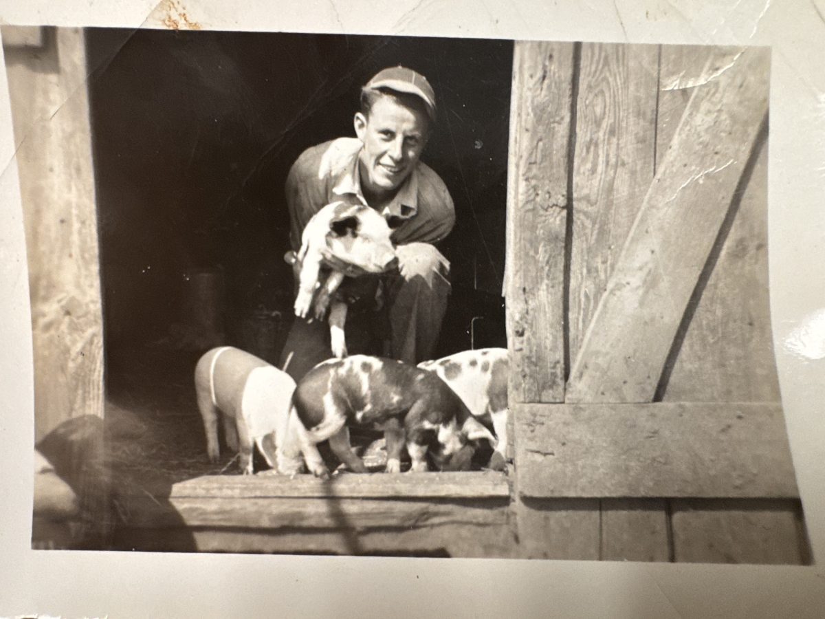 72nd Annual Greene County Youth Fair - Timeless Connections & New Memories