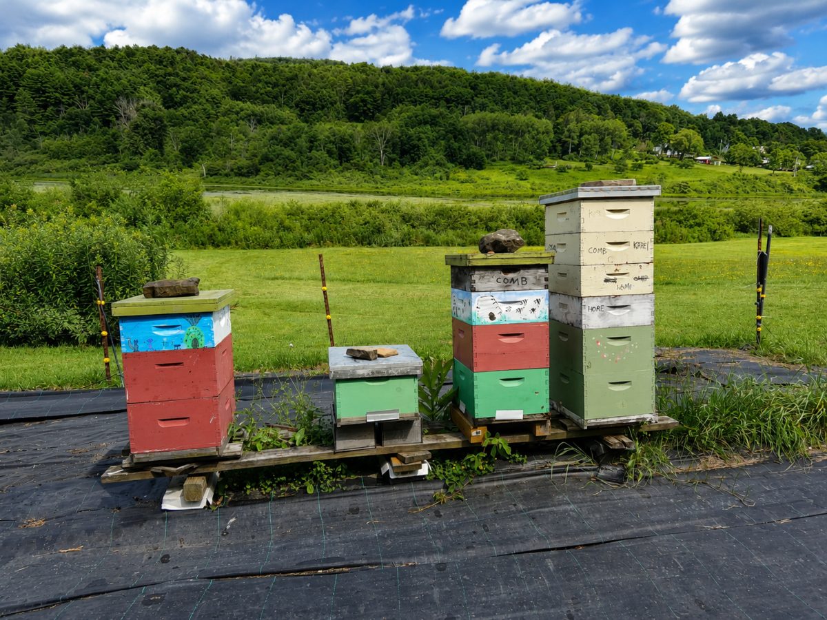 The Catskill Mountain Beekeepers Club, Promoting Our Precious Pollinators