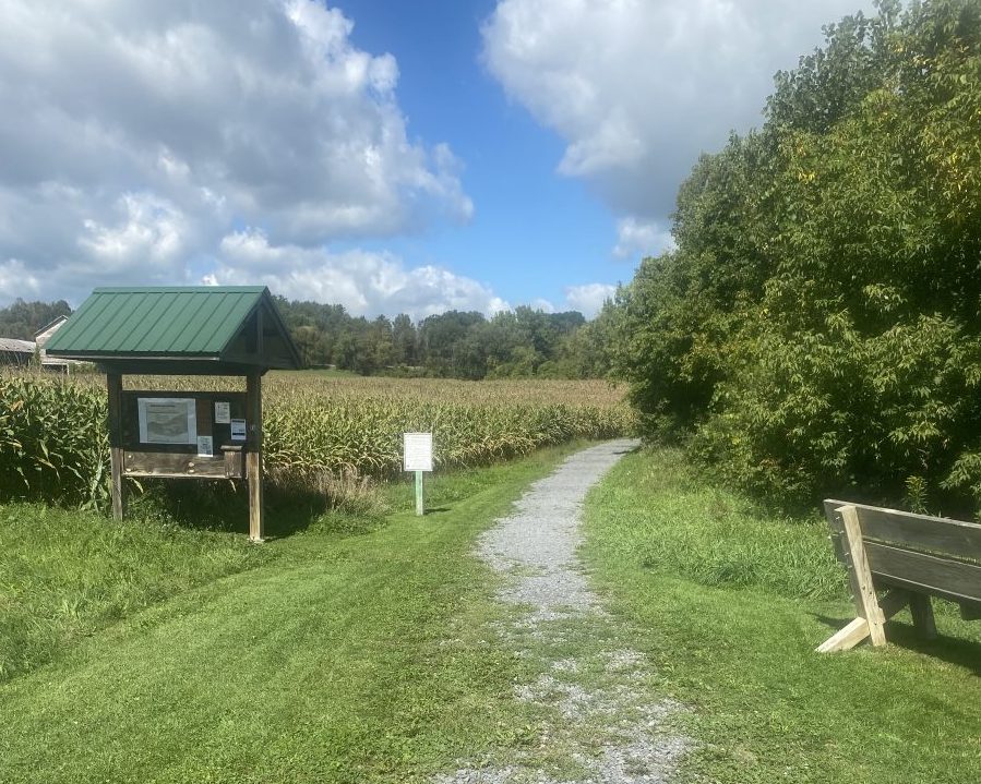 Schoharie County Trail Association Starts Fund Drive to Keep Cobleskill Creek Trail Open