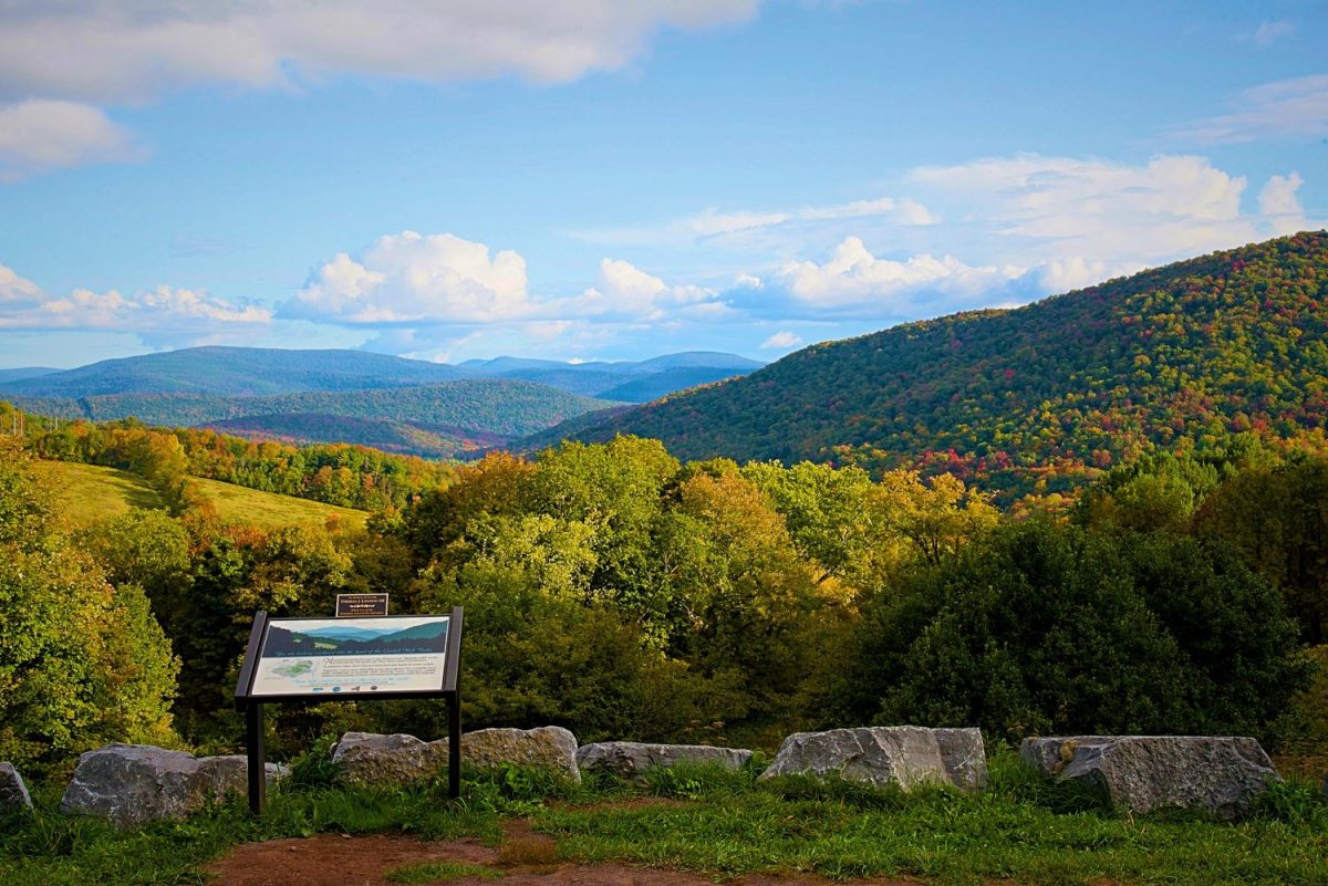 Andes Residents Weigh in on Cell Tower Project