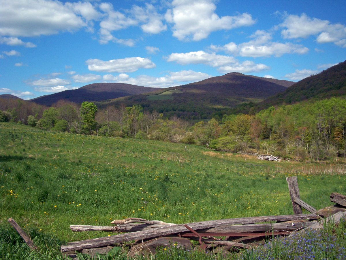 Halcott, the Catskills Forgotten Town