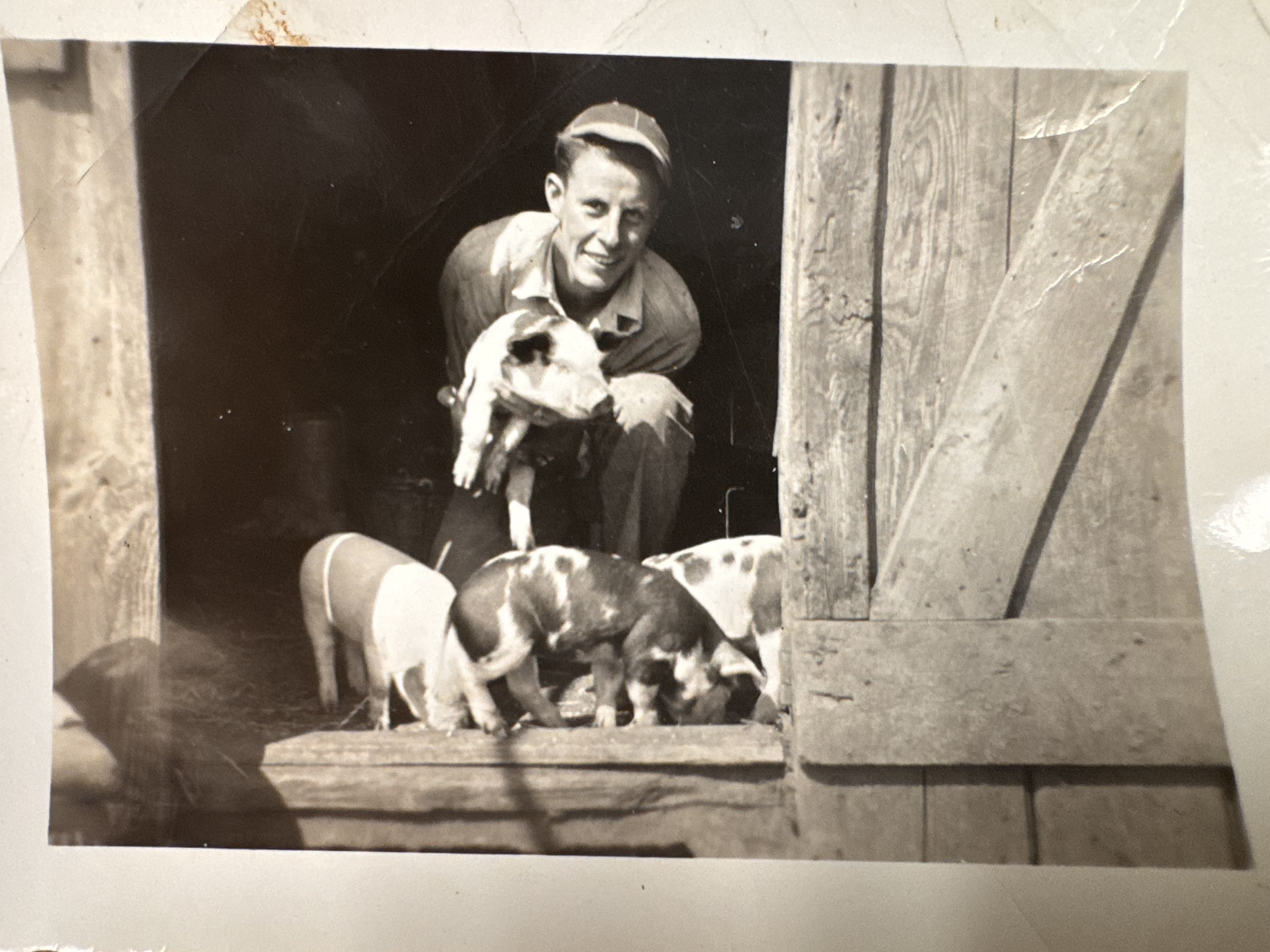 72nd Annual Greene County Youth Fair - Timeless Connections & New Memories