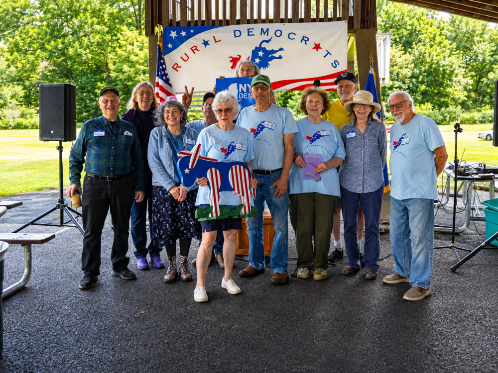 Democratic Voters tell the Party Organizers Why they are Voting This November