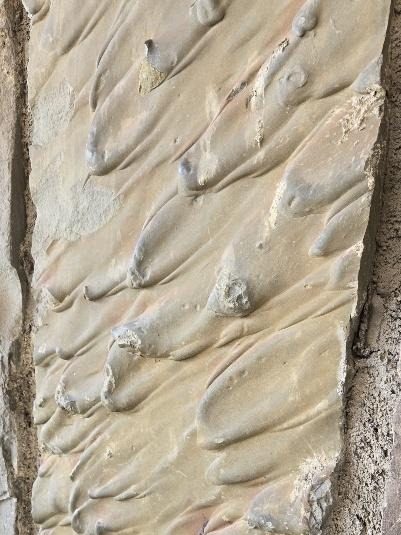 A stone wall with fish carved in it
AI-generated content may be incorrect.