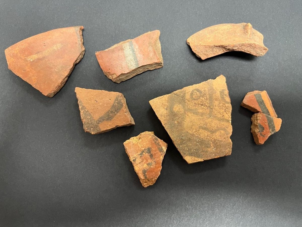 A group of broken pieces of pottery

AI-generated content may be incorrect.