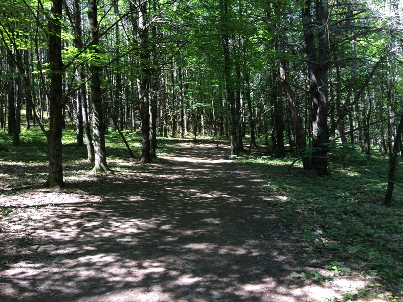 Further Along The Trail
