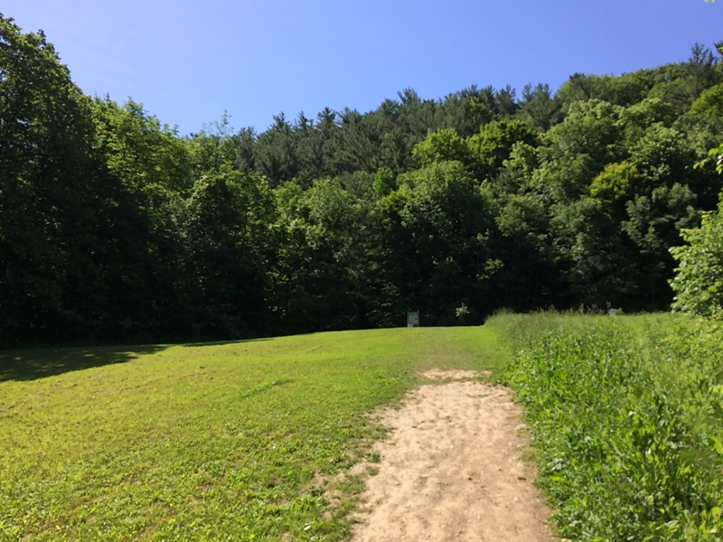 The Starting Path