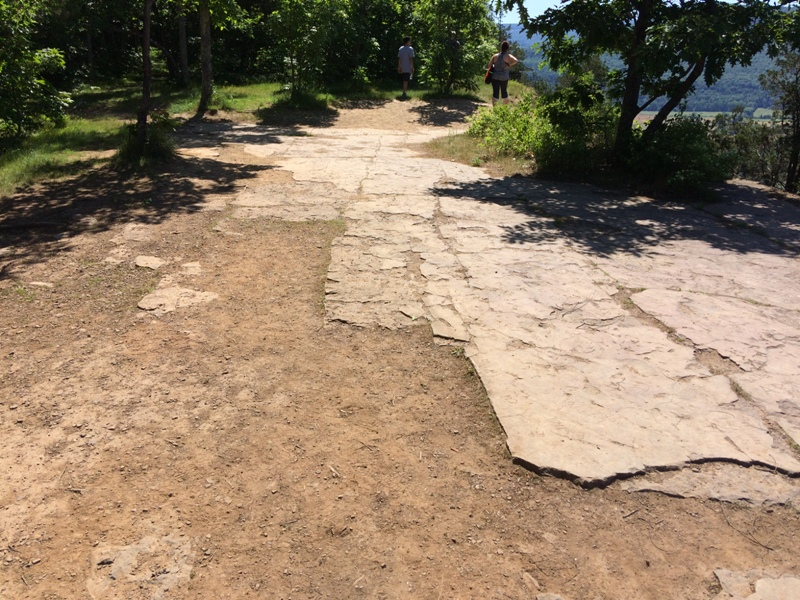 Reaching The Summit