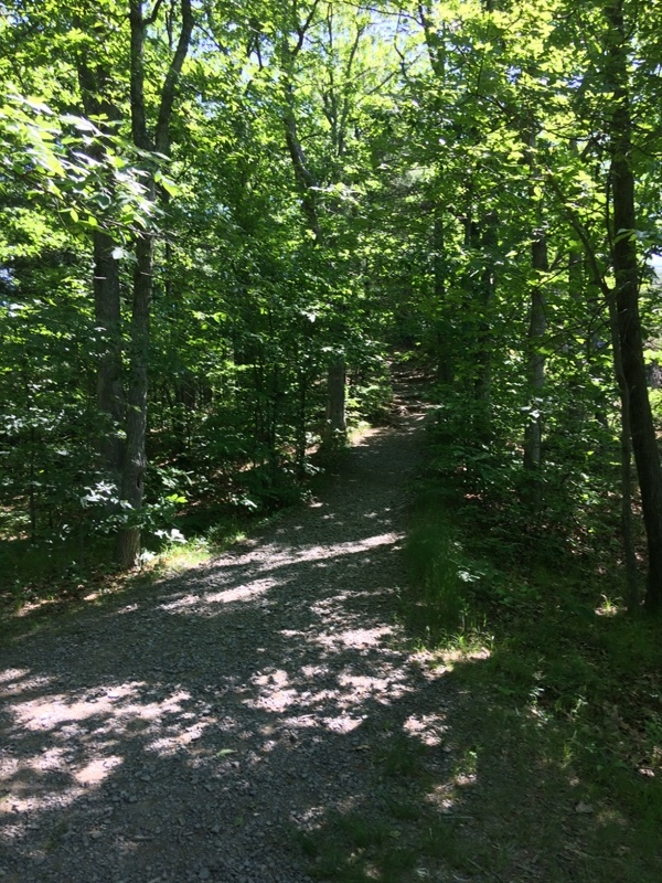 Along The Trail