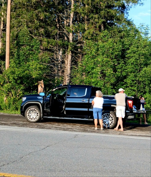 Manhunt in Gilboa Photo