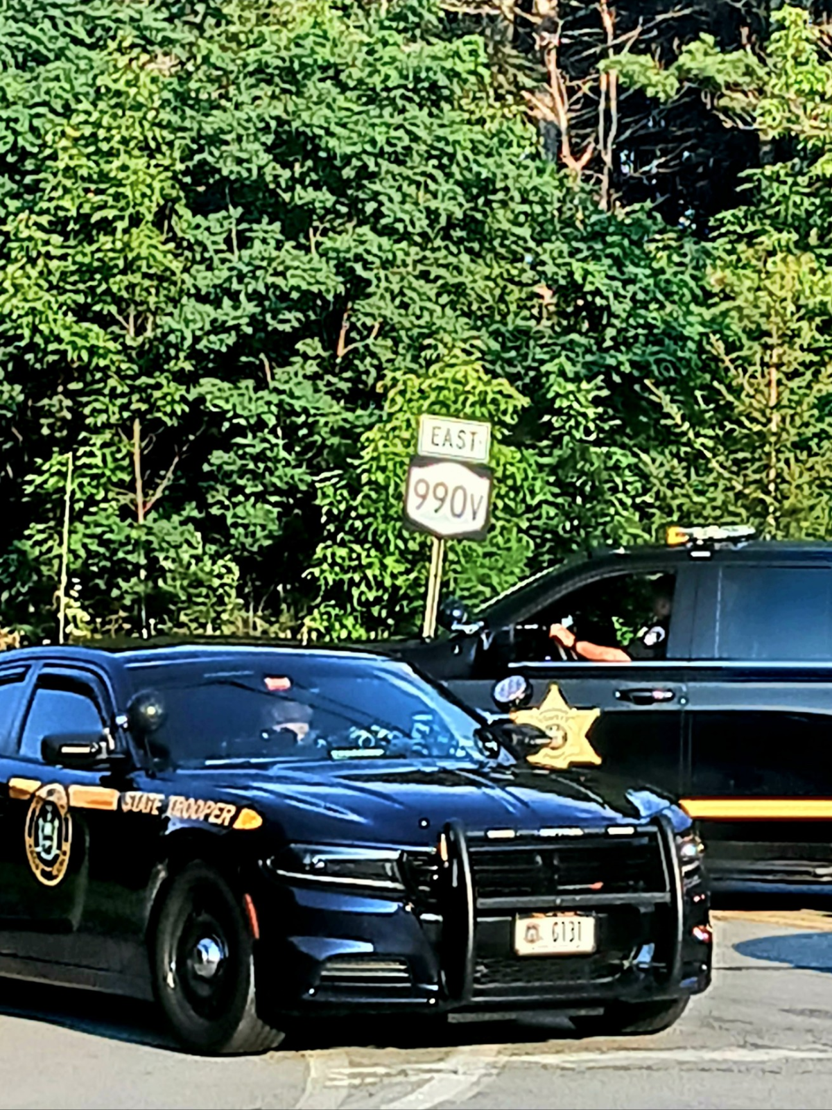Manhunt in Gilboa Photo