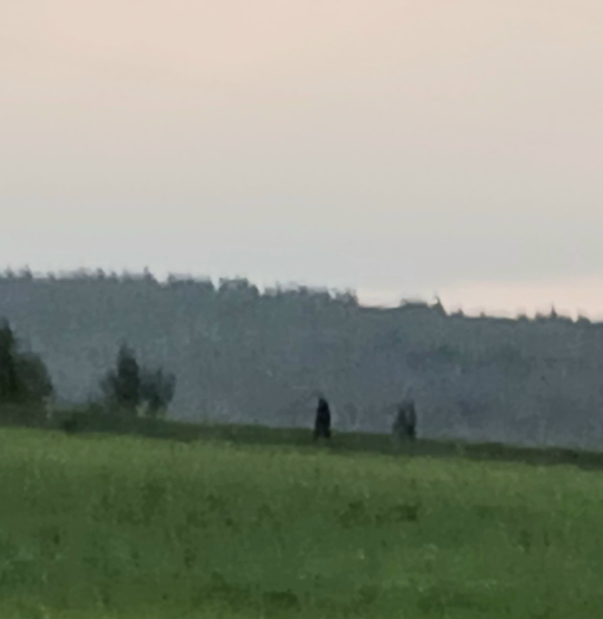 Manhunt in Gilboa Photo