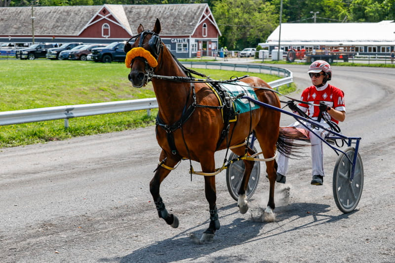 Schoharie County Sunshine Fair Photo