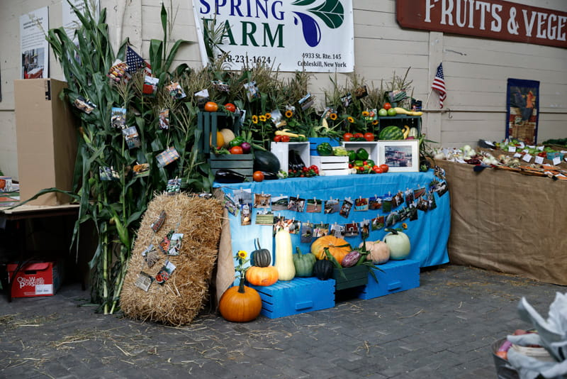 Schoharie County Sunshine Fair Photo