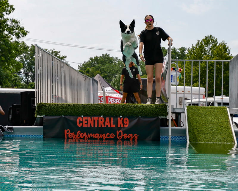 Schoharie County Sunshine Fair Photo
