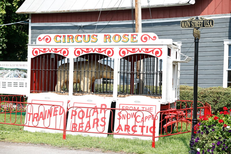 Schoharie County Sunshine Fair Photo