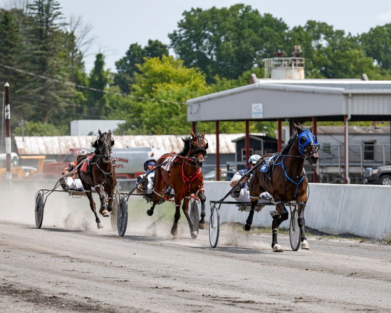 Schoharie County Sunshine Fair Photo
