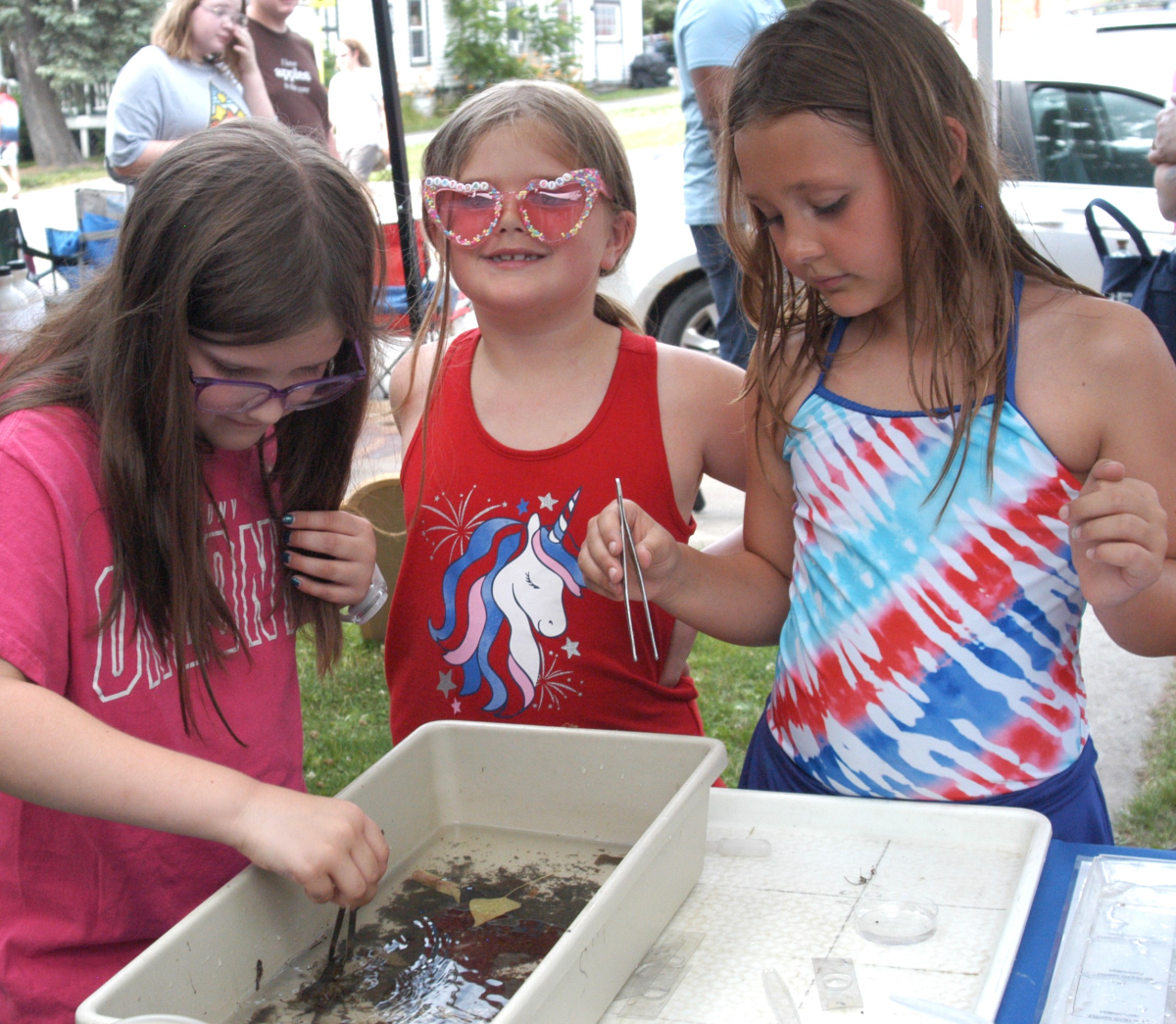 Middleburgh Celebrates America's 250th Photo