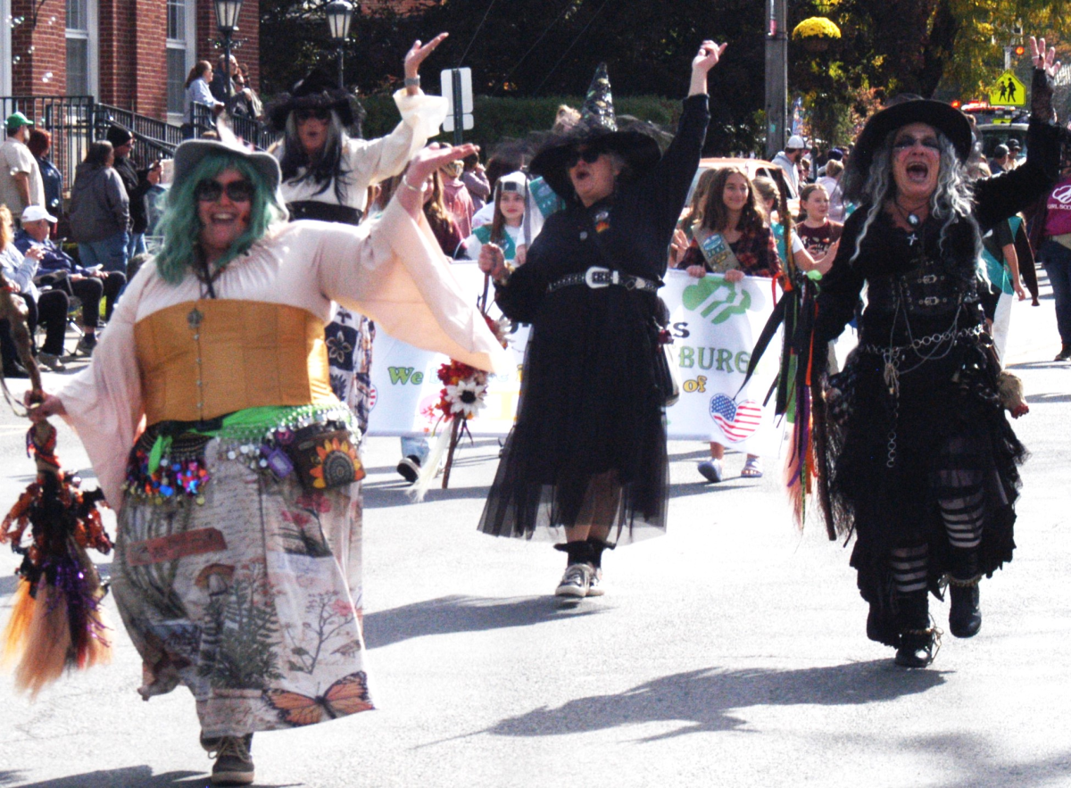 Fall Festival Fun Fills Middleburgh Photo