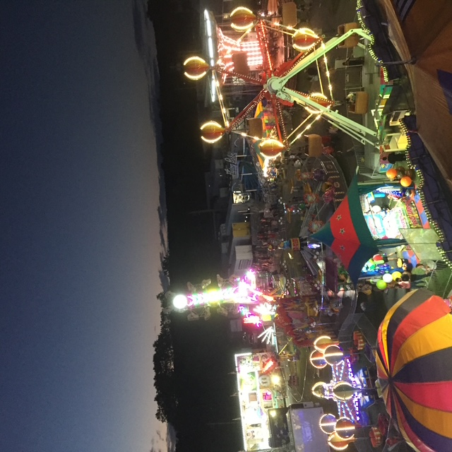 Above the Sunshine Fair