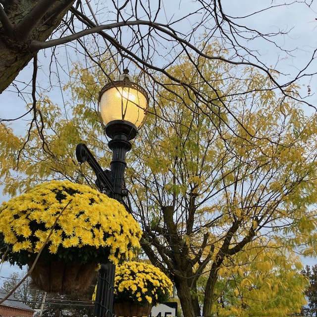 Golden Season