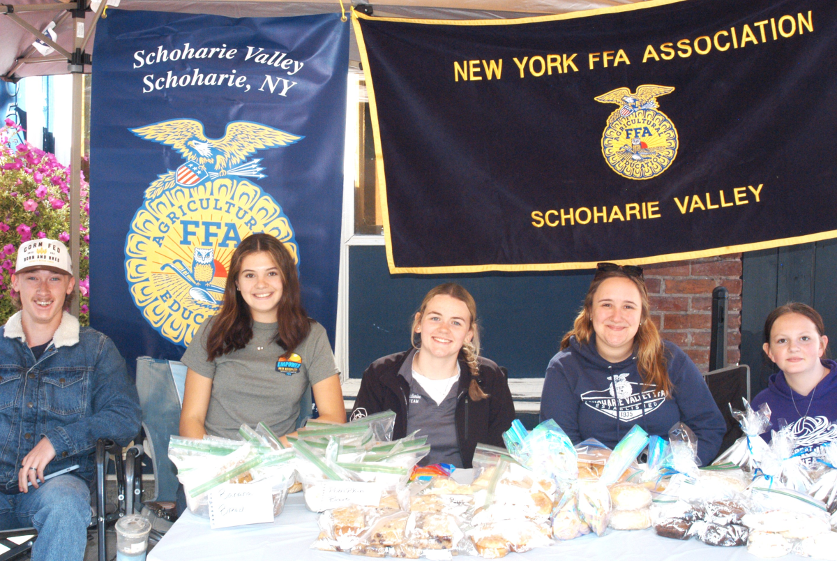 Sales Fill Schoharie Photo