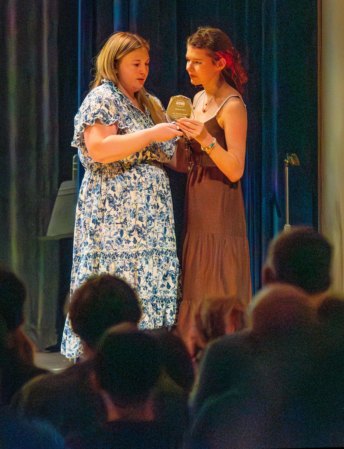Schoharie Honors Fantastic Athletes Photo